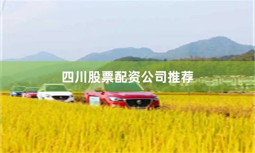 四川股票配资公司推荐