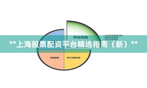 **上海股票配资平台精选指南（新）**